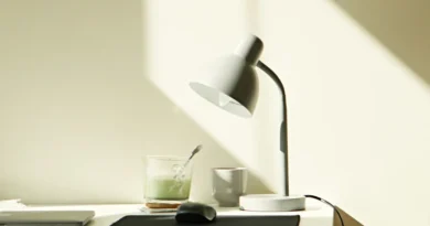 Neuro-ergonomia w praktyce: Jak układ biurka i oświetlenie wpływają na mózg i podejmowanie decyzji w pracy?